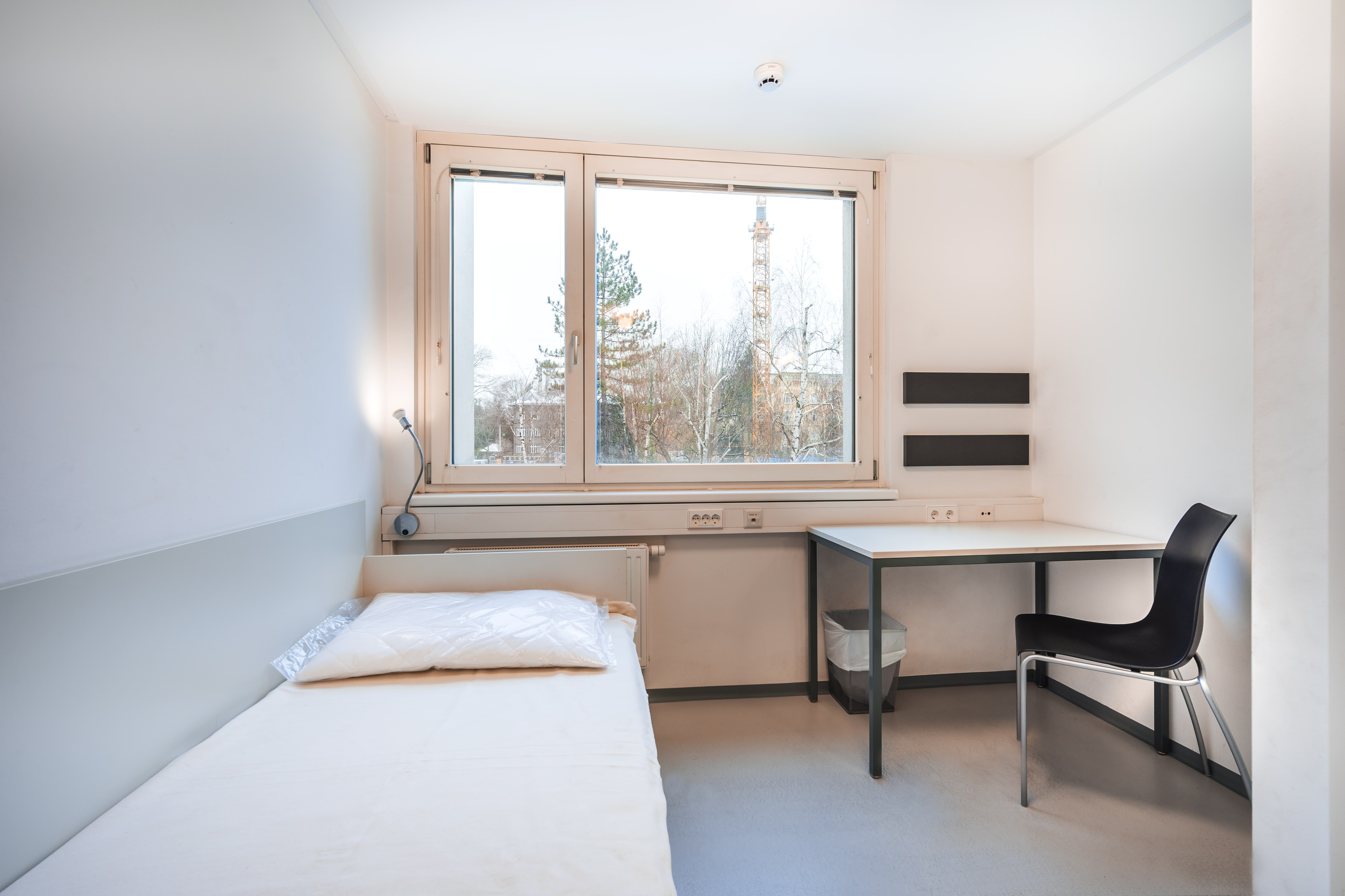 single studenten wien